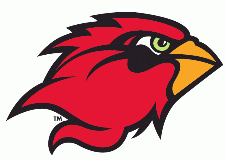 Lamar Cardinals 2010-Pres Secondary Logo DIY iron on transfer (heat transfer)